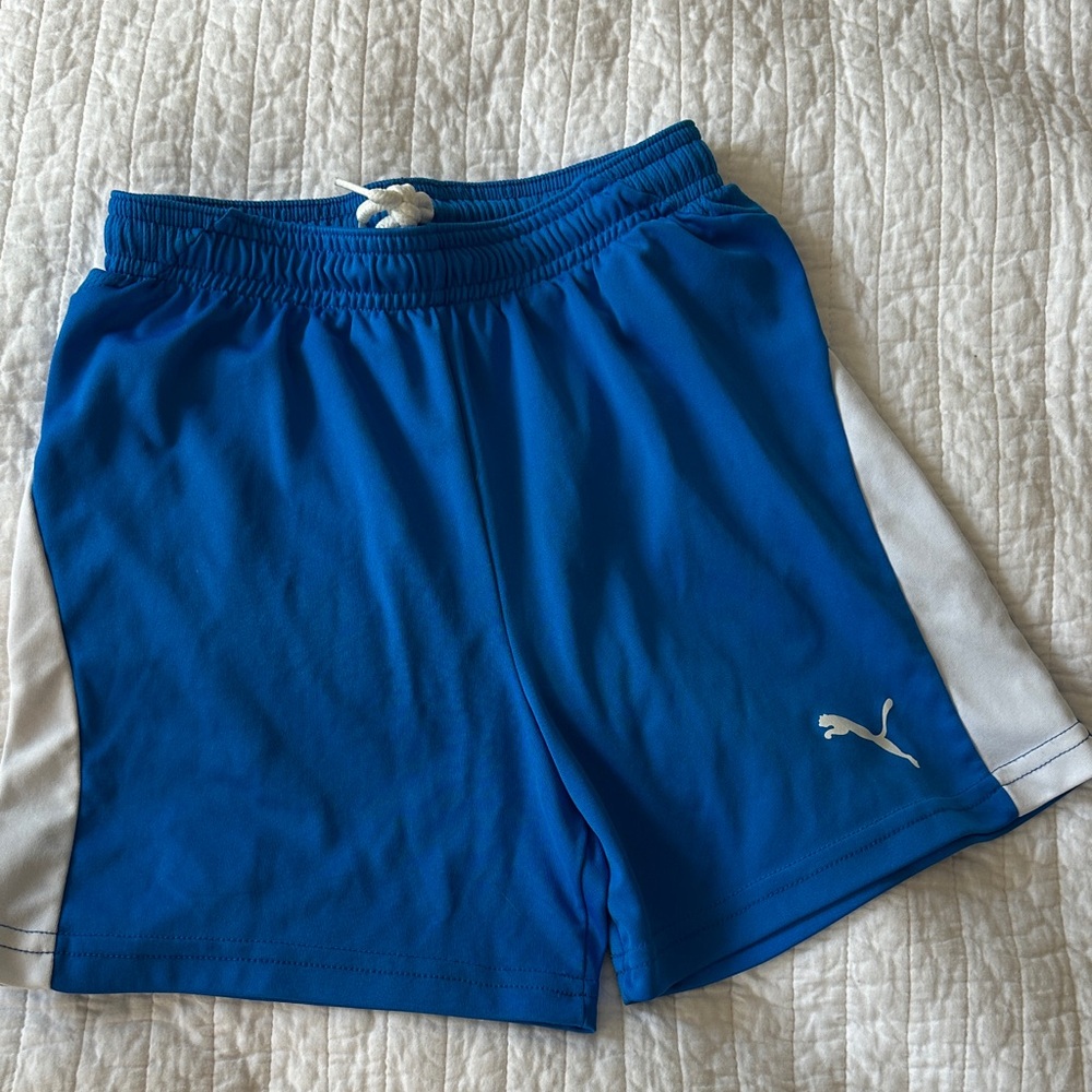 Puma Blue and White Sports Shorts